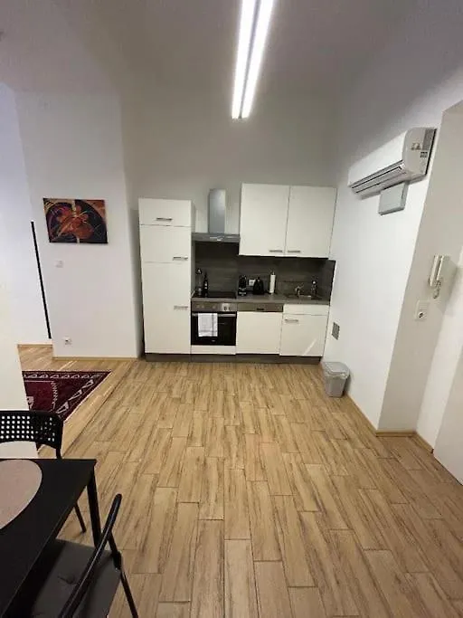 Apartment Vienna Heart Near Stephansdom Austria